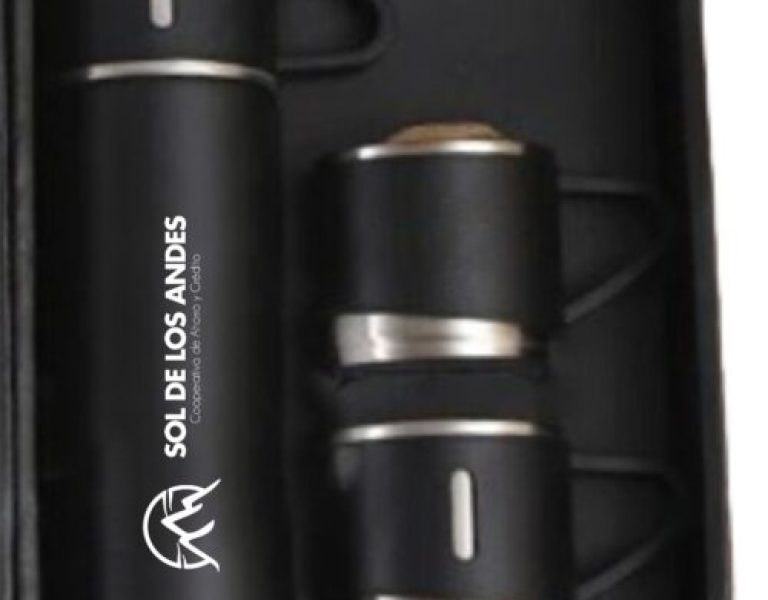 Termo Ejecutivo 3 tazas